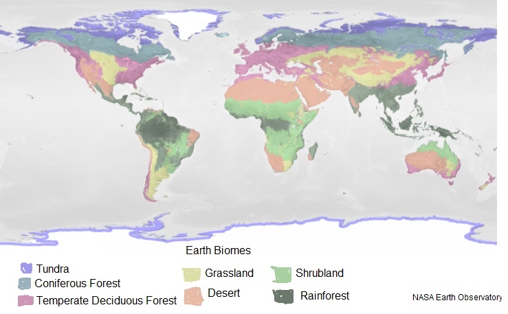 World Biomes